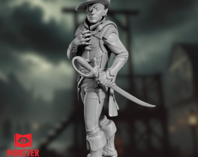Flamboyant Elf Swashbuckler Mini | Charismatic Stylish Drow Elf NPC Miniature for TTRPG's | By Monster Atlas