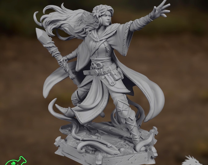 Female Elven Druid | Human Wizard with Staff | TPK Labs