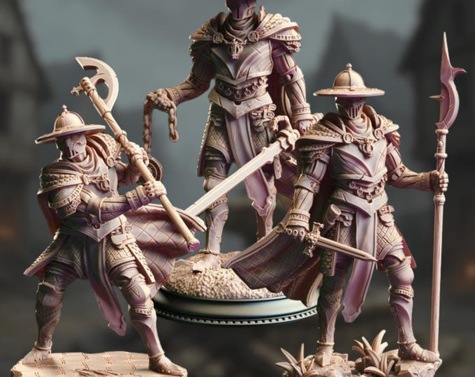 Royal Guard Miniature Set | Elite Inquisition Soldiers with Sword, Flail and Polearm | By DM Stash