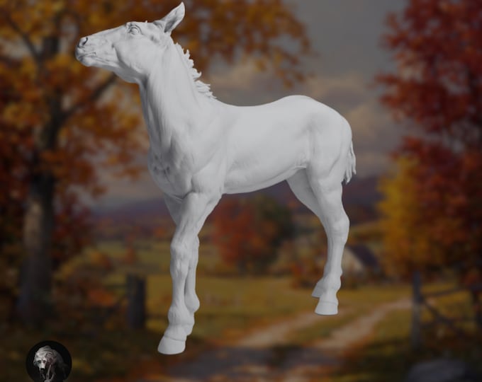 Mustang Foal Sculpture | Paintable Resin Wild Horse Calf | By Animal Den Miniatures