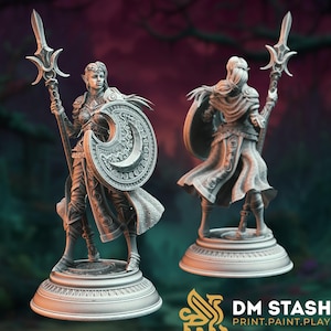 May include: A detailed, gray figurine of a warrior elf, holding a spear and shield. The shield features a crescent moon design. The figure is standing on a circular base. The image includes the text "DM STASH PRINT.PAINT.PLAY."