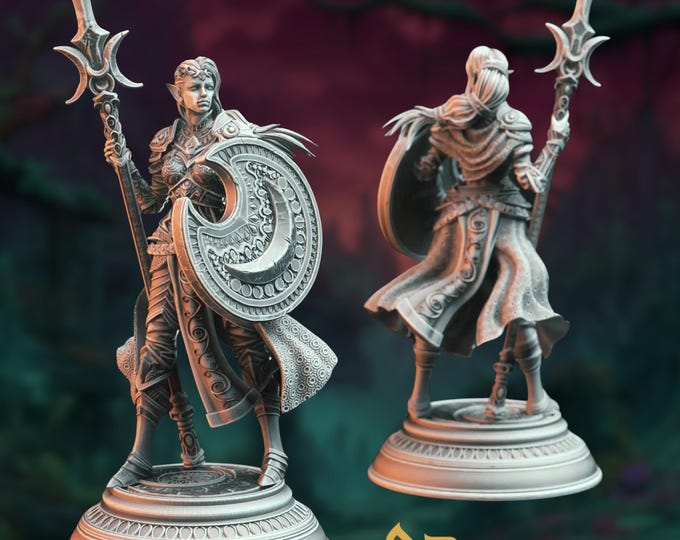 Moon Elf Paladin Miniature: Female Twilight Cleric with Shield by DM Stash