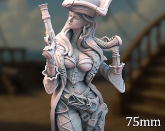 Resin Pirate Captain Model | Nerikson, Paintable Display Piece