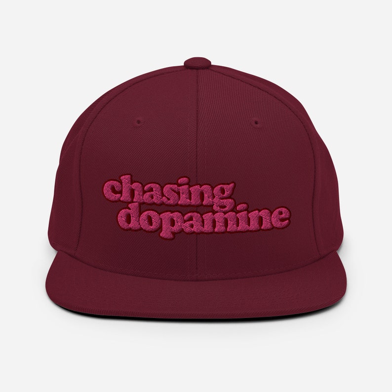 chasing dopamine Embroidered Snapback Hat image 4