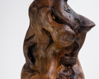 May include: A wooden sculpture of a human figure with a twisted, gnarled form. The sculpture is made of dark brown wood with a natural, rustic finish.