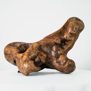 Driftwood Nature Art Abstract Wood Root Sculpture Home Luxury Wall Decor Table Decor Nature Natural