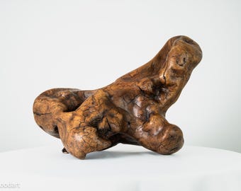 Driftwood Horse Head Sculpture: Natural Wood Root Art