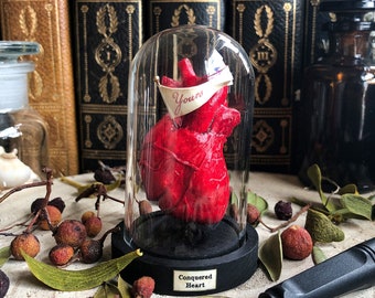 Heart in Bell Jar, Anatomical Human Heart in Glass Domes, Unusual Romantic Heart Gift, Heart Diorama Decor, Goth Anatomical Heart Terrarium