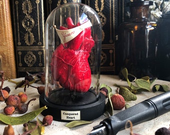 Heart in Bell Jar, Anatomical Human Heart in Glass Domes, Unusual Romantic Heart Gift, Heart Diorama Decor, Anatomical Heart H-2.75"xØ-1.96"