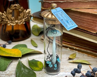 Mushroom decor - Curio vial with blue mushroom - Curiosity Cabinet - Unusual gifts for mushroom lovers - Curiosity H-3.54" x Ø-0.78"