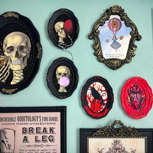 Vintage Skull Framed Art Bundle Victorian Skull Collage Anatomy Gift Curiosity Cabinet Oddities Gothic Decor image 7