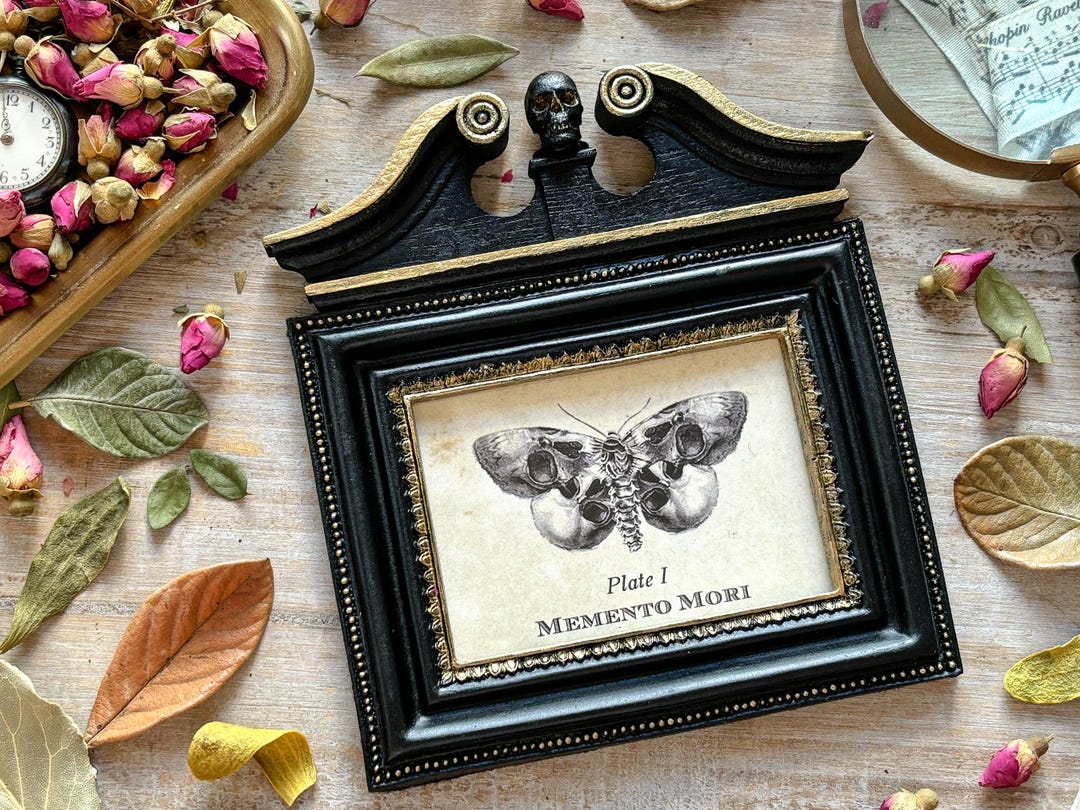 Memento Mori Butterfly Framed Art Curiosities And Oddities Decor memento-mori-butterfly-framed-art-curiosities-and-oddities-decor
