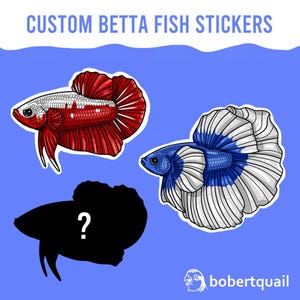 Peut inclure: L'image présente des autocollants personnalisés de poissons Betta. Deux autocollants montrent des illustrations détaillées de poissons Betta, l'un rouge et blanc, l'autre bleu et blanc. Une silhouette noire avec un point d'interrogation est également incluse. Le fond est bleu.
