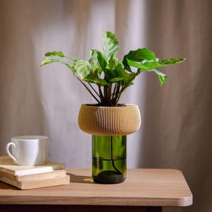 Self-contained flower pot