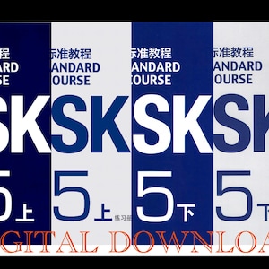 Corso standard HSK5 digitale per studenti e insegnanti con MP3 e audio, quaderno di lavoro HSK5 con MP3; Scheda di vocabolario, grammatica e caratteri HSK5