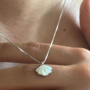Puede incluir: Un collar de plata con un colgante de concha. El colgante es blanco con un borde plateado, y la cadena es una fina cadena de plata. El collar se lleva alrededor del cuello.