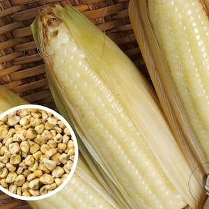 May include: Three ears of white corn with husks removed, showing the kernels. The corn is in a woven basket. A close-up of the kernels is shown in a circle.