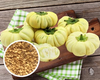 African (Jakato) Bitter White Eggplant Seeds, Heirloom Non-GMO (25+ Seeds)