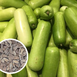 25+ Nam Tao Yao Bottle Gourd, Opo, Calabash Seeds Heirloom Non-GMO