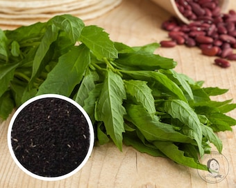 May include: A bunch of fresh green leafy herbs with a small circle of black seeds in the foreground.