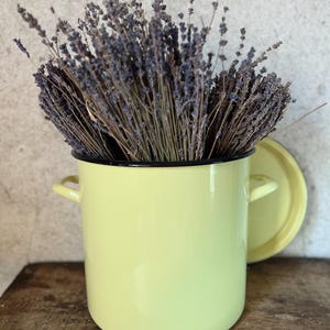 Olla extragrande de esmalte amarillo vintage con tapa.