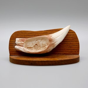 Alaska Brown Bear Tooth replica Carving of Cabin & cache on wood stand
