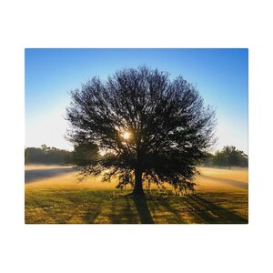 Misty Morning Matte Canvas, Stretched, 0.75&quot;