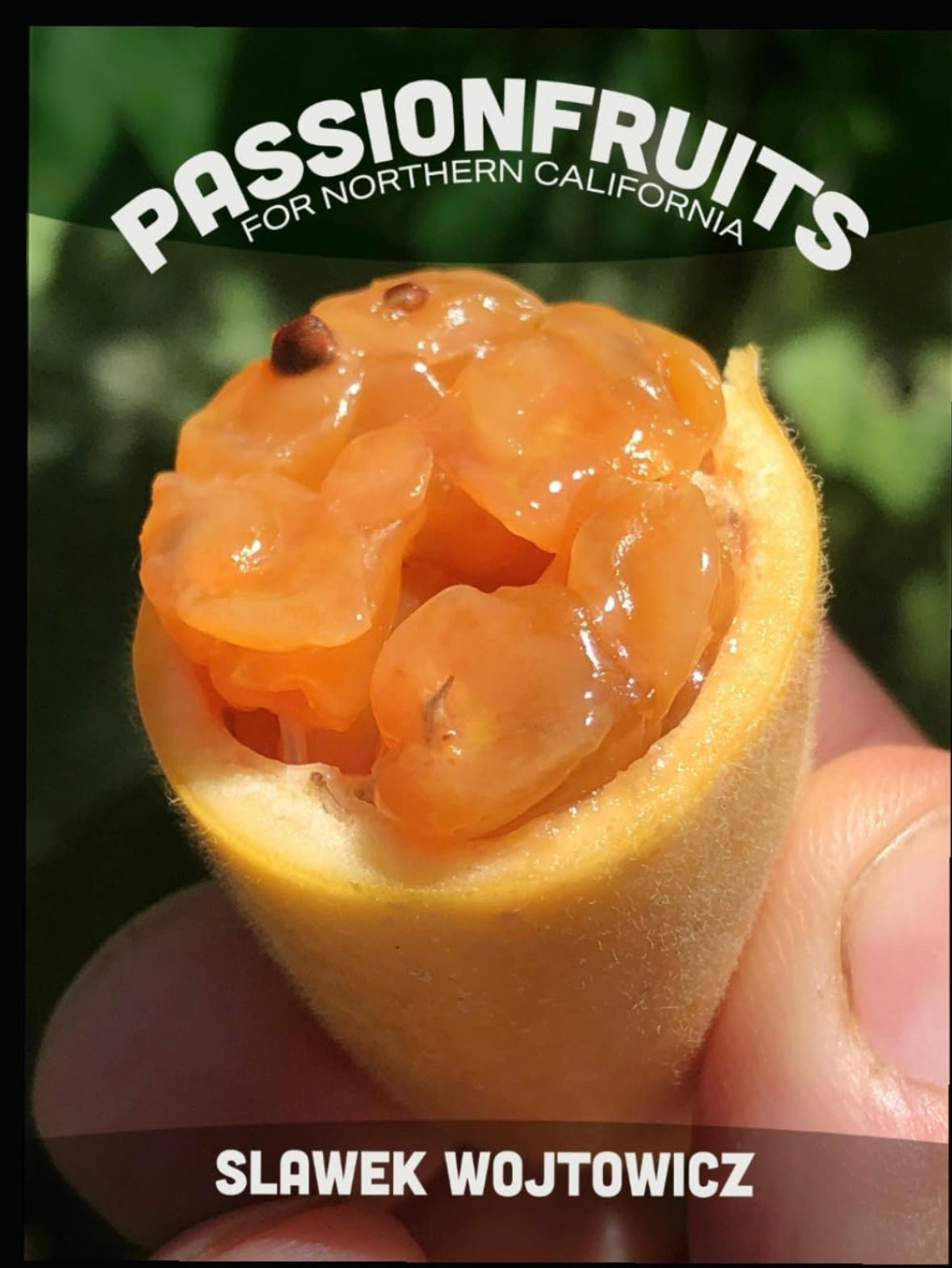 Ein handsigniertes Exemplar aus dem Buch ‘Passionfruits for Nordic California’ von Slawek Wojtowicz