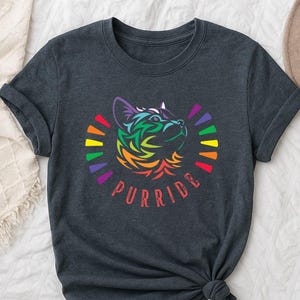 Purride Shirt, Rainbow Cat Pride Tee, LGBT Cat Lover Shirt, Funny Gay Pride T-Shirt, LGBTQ Animal Shirt, Pride Month Gift Idea, Trans Shirt