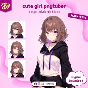 pngTuber, Cute Girl 2d PNGTuber / Cute PNGTuber / Kawaii Avatar / Premade PNGTuber / Ready to Use / Streaming / Twitch / Vtuber Assets