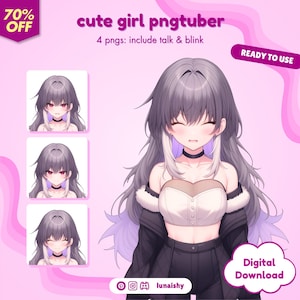 pngTuber, Cute Girl 2d PNGTuber / Cute PNGTuber / Kawaii Avatar / Premade PNGTuber / Ready to Use / Streaming / Twitch / Vtuber Assets