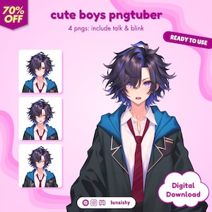 pngTuber, Cute Boy 2d PNGTuber / Cute PNGTuber / Kawaii Avatar / Premade PNGTuber / Ready to Use / Streaming / Twitch / Vtuber Assets
