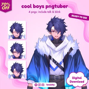 pngTuber, Cool Boy 2d PNGTuber / Cute PNGTuber / Kawaii Avatar / Premade PNGTuber / Ready to Use / Streaming / Twitch / Vtuber Assets