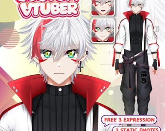 Customizable Live2D Rigged Vtuber Model Starla, Full Body Rigging, vBridger Ready, Vtuber Anime