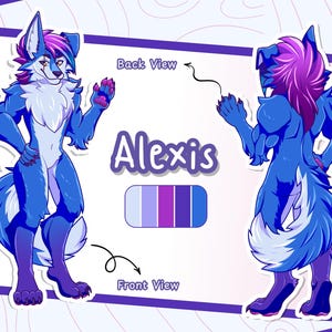 Peut inclure: Illustration d'un personnage de loup anthropomorphe bleu et violet nommé Alexis, présenté en vues de face et de dos. Le personnage a une poitrine blanche, des cheveux violets et roses et une palette de couleurs.