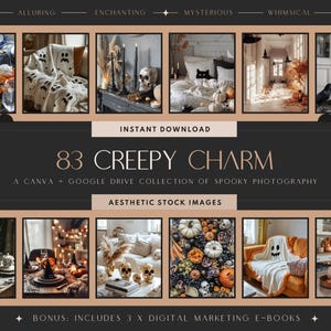 Halloween Stock Photos | Spooky Aesthetic | Interior Decor | Halloween Decoration Images | IG Templates | Instant Download | PLR & MRR