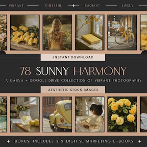 Yellow Stock Photos | Aesthetic Lemon Stock Photos | Sunny Images | Summer Photography | IG Templates | Instant Download | PLR & MRR