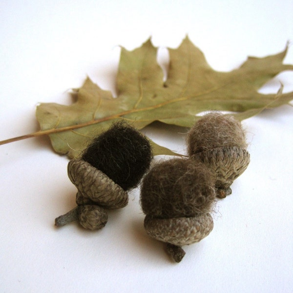 wool acorns set of 12 rustic brown / natural eco friendly auutmn fall decor inspired by the woodland forest