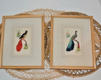 Bird Feather Painting Sealed Vintage 1960s Feathered Bird Postcard Sanborns Department Store Made in Mexico Folk Art Handmade Greeting Card