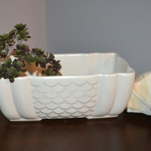 May include: A white ceramic planter with a scalloped design, holding a small succulent plant. A large seashell rests beside the planter. The items are on a dark brown surface.