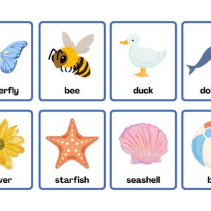 80 First Words Printable Flashcards (Animals, Nature, Food, Clothing)