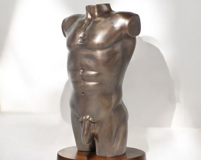Handmade Bronze Male Torso Sculpture, Modern Bronze Figurative Art, Nude Male Statue, Home Decor, Made in TH, Uniqu Gift for Art Lovers