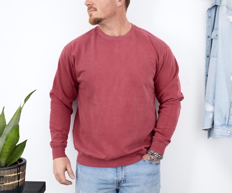 May include: A solid red-burgundy crew neck sweatshirt with long sleeves. The sweatshirt is worn with blue jeans. A plant in a black pot is on the left, and a denim jacket hangs on the right.