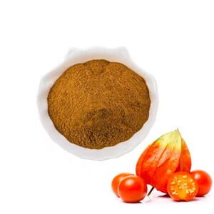 Pu&ograve; includere: Una ciotola bianca piena di polvere marrone, accanto a un gruppo di frutti di physalis rossi e arancioni.