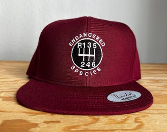 Broderad keps med växelspak: Manuell växellåda för bilentusiaster Snapback