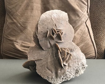 Desert rose - Geological Specimen