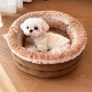 Può includere: Un piccolo cane bianco con un maglione bianco è sdraiato in un letto rotondo per cani marrone e bianco. Il letto ha una consistenza morbida e soffice e uno strato esterno in velluto a coste marrone.