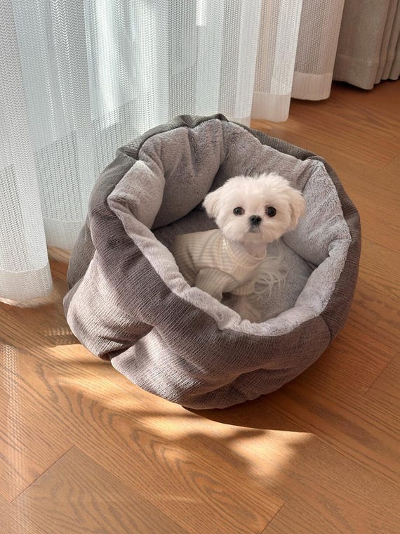 Cama con forma de árbol para perros, cálida cama cueva para perros