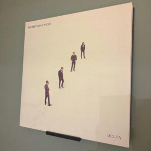 Vinyl record holder display