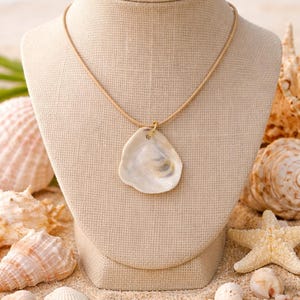 May include: A necklace featuring a single, irregular, off-white seashell pendant suspended from a thin, tan-coloured cord. The shell has a smooth, pearlescent interior surface and is attached to the cord by a small, gold-toned metal jump ring.